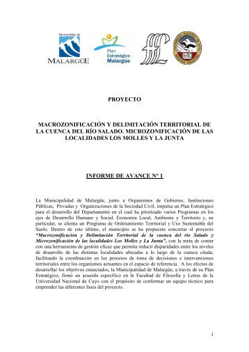 2-Macrozonificación Cuenca-Salado-INFORME I.pdf - Plan ...