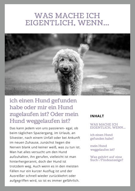 Was mache ich...Hund gefunden oder entlaufen