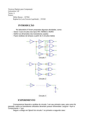 INTRODUÇÃO EXPERIMENTO