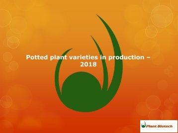 Potted plant varieites in tissue culture - 2018