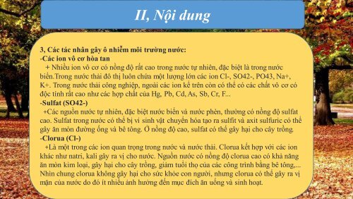 [DISCUSSION] Ô nhiễm môi trường nước tại sông Cửa Tiền