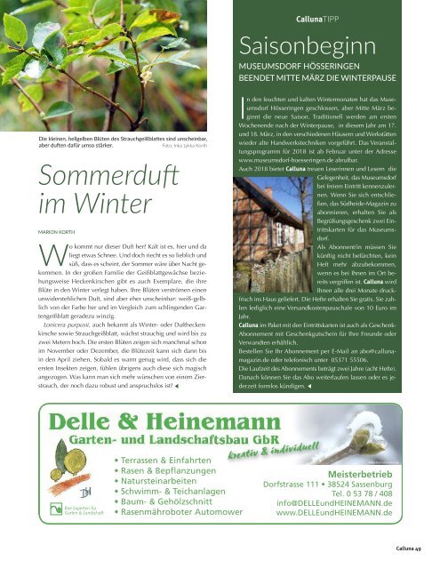 Calluna Winter18 mit Heidja