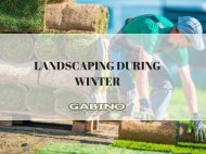 Landscaping during winter