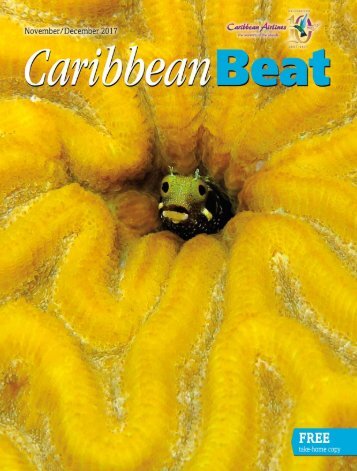 Caribbean Beat — November/December 2017 (#148)