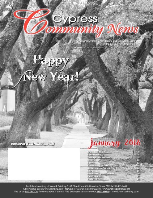 Cypress South January 2018