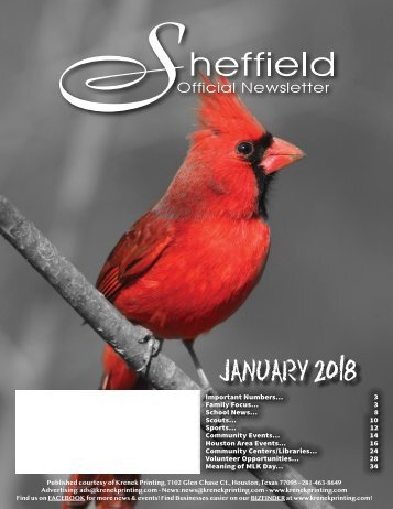 Sheffield January 2018