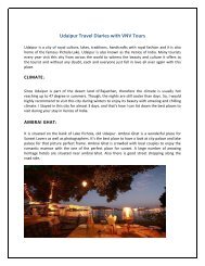 Udaipur Travel Diaries with VNV Tours