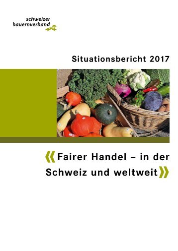 Situationsbericht_2017_web_DE