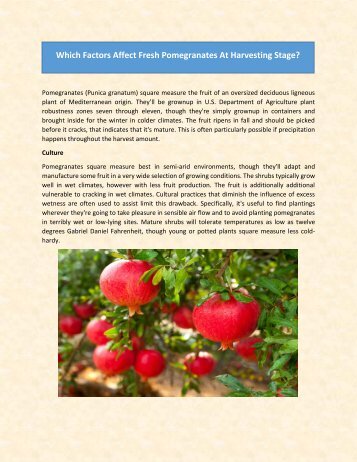 Which Factors Affect Fresh Pomegranates At Harvesting Stage