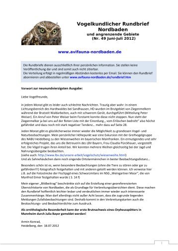 Vogelkundlicher Rundbrief Nordbaden - Avifauna Nordbaden