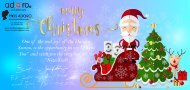 2017 christmas card - en2