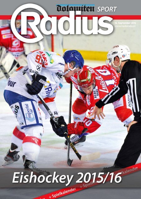 Eishockey 2015/16