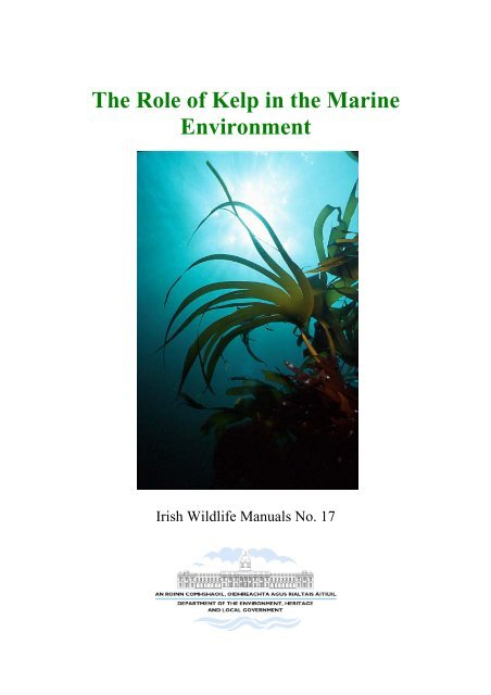 The Role of Kelp in the Marine Environment - National Parks ...