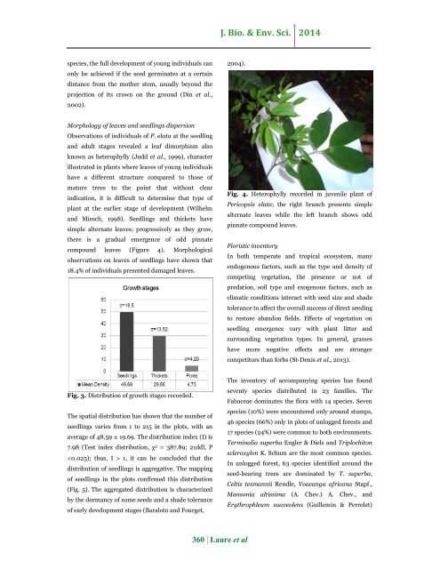 Early growth stages structure and distribution of Pericopsis elata (Harms) van Meeuven in a logging concession of South – East Cameroon