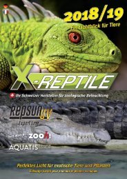 Highlights xreptile 18_19