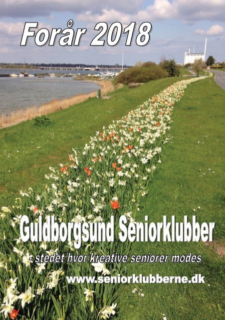 Guldborgsund seniorklubber in-design 2018-1