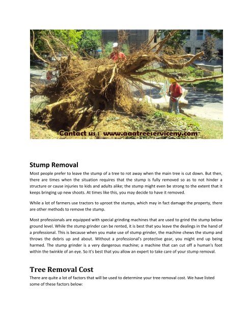 Tree services Long Island