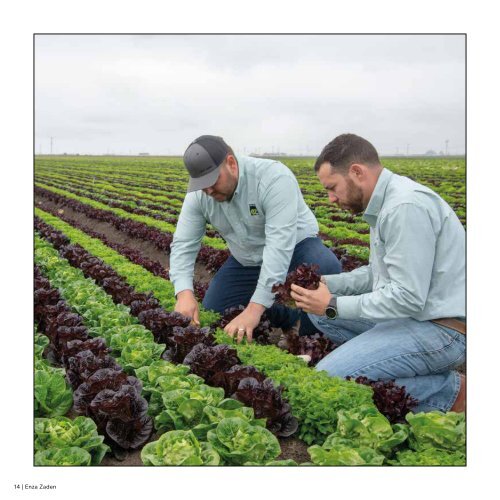 Vegetable Seed Catalogue USA & Canada 2019