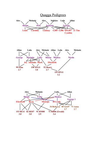 Quagga Pedigrees-2.pdf - The Quagga Project