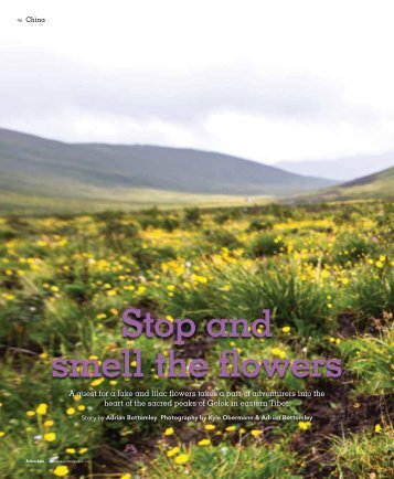 Stop and smell the flowers: An expedition to the sacred peaks of Golok, eastern Tibet