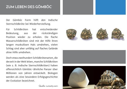 gomboc_webshop_katalog_DE