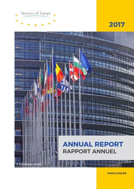 CNUE - Annual Report 2017