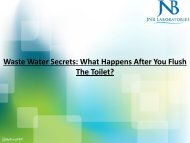 Waste Water Secrets What Happens After You Flush The Toilet