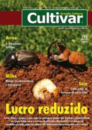 Visualizar - Grupo Cultivar