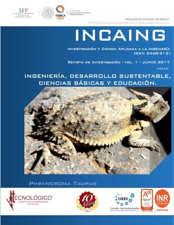 INCAING REVISTA 1a Edición