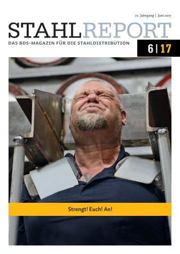 Stahlreport 2017.06