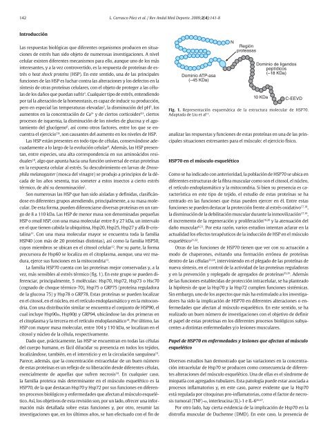 Medicina del Deporte - Nutrinfo.com