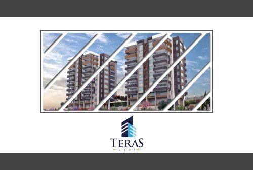 Teras Vadi Project