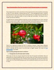Top 4 Outstanding Tips for Growing Fresh Pomegranates in Container