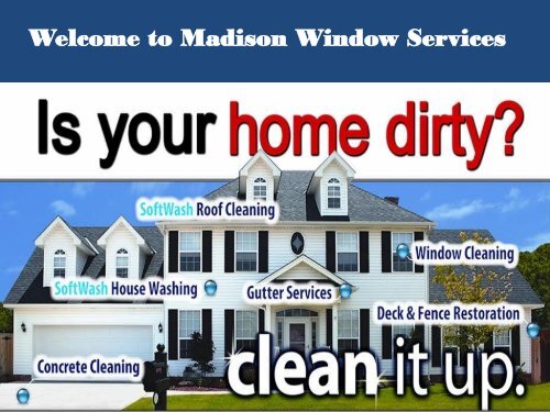 Professional window washers madison