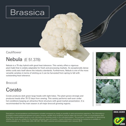 Leaflet Brassica 2018