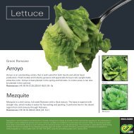 Leaflet Lettuce