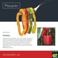 Leaflet Blocky Pepper