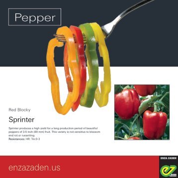 Leaflet Blocky Pepper