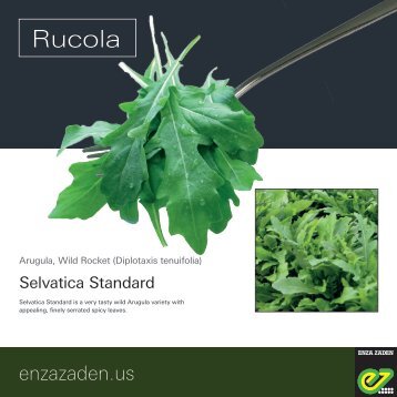 Leaflet Rucola