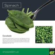 Leaflet Spinach