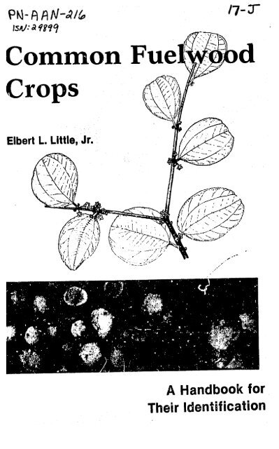 Plants and their uses; an introduction to botany . duces all the