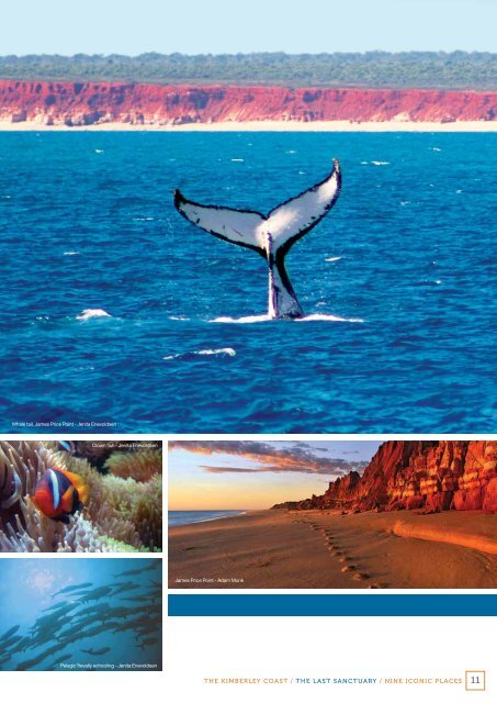 The Kimberley coast: nine iconic places - wwf - Australia