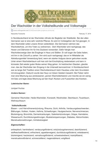 Der Wacholder in der Volksheilkunde und Volksmagie