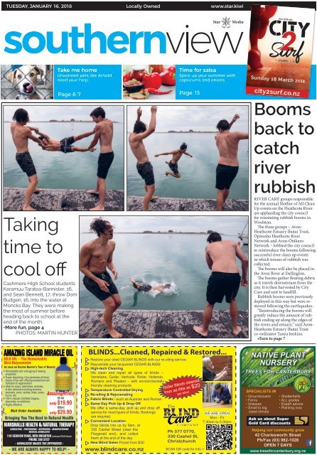 Southern View January 16 2018
