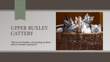 Upper Ruxley Cattery