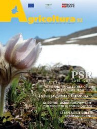 Rivista "Agricoltura" Regione Piemonte - n° 92, giugno 2017