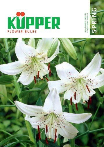 Blumenzwiebelbuch Frühjahr, Saison 2017/18 (englisch)