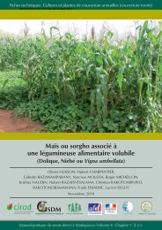 Manuel pratique du semis direct à Madagascar - Cirad