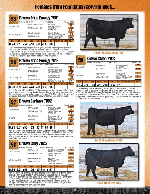 Browns Angus Ranch 2018 Online