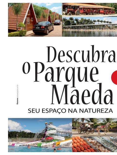 Guia da 3ª Idade #19